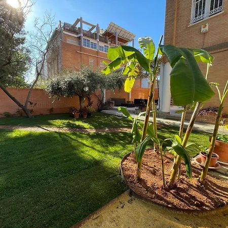El Jardin De La Palmera-ducha Solar!
